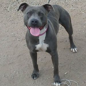 Meet your Posher, Caleb